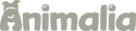 2023127_Animalia-LP